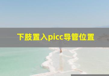 下肢置入picc导管位置