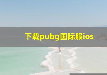 下载pubg国际服ios