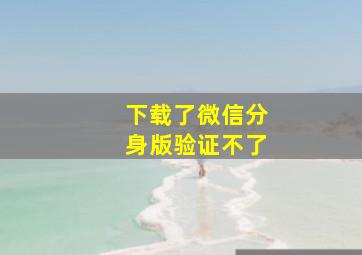 下载了微信分身版验证不了