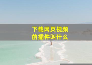 下载网页视频的插件叫什么