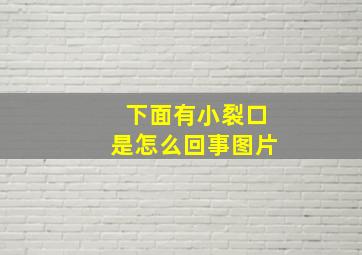 下面有小裂口是怎么回事图片