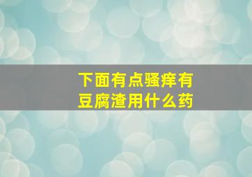 下面有点骚痒有豆腐渣用什么药