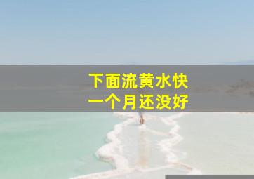 下面流黄水快一个月还没好