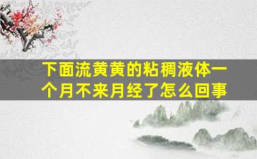 下面流黄黄的粘稠液体一个月不来月经了怎么回事