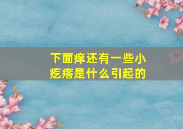 下面痒还有一些小疙瘩是什么引起的