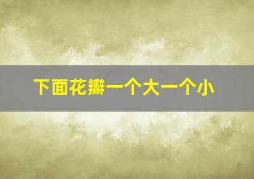 下面花瓣一个大一个小