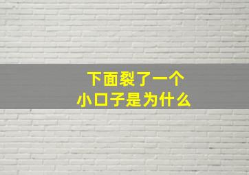 下面裂了一个小口子是为什么