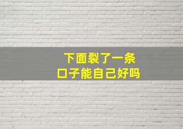 下面裂了一条口子能自己好吗