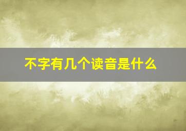 不字有几个读音是什么