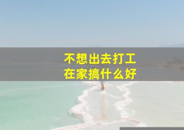 不想出去打工在家搞什么好