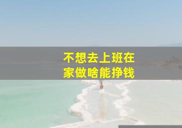 不想去上班在家做啥能挣钱