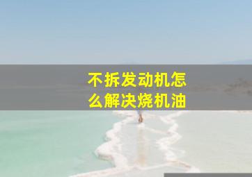 不拆发动机怎么解决烧机油