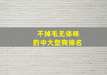 不掉毛无体味的中大型狗排名