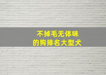 不掉毛无体味的狗排名大型犬