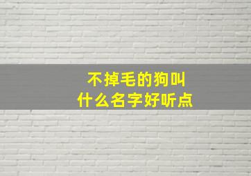 不掉毛的狗叫什么名字好听点