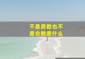 不是质数也不是合数是什么