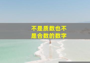 不是质数也不是合数的数字