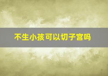 不生小孩可以切子宫吗