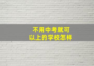 不用中考就可以上的学校怎样