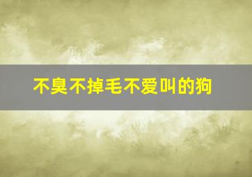 不臭不掉毛不爱叫的狗