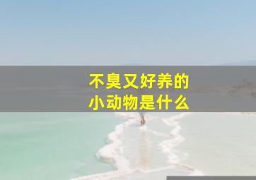 不臭又好养的小动物是什么