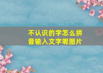 不认识的字怎么拼音输入文字呢图片