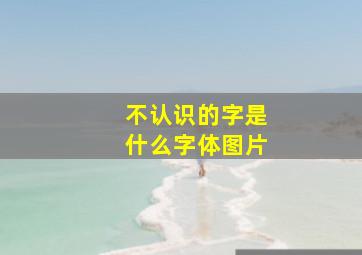 不认识的字是什么字体图片