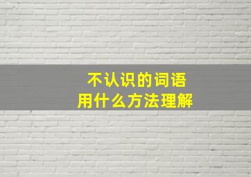 不认识的词语用什么方法理解