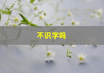 不识字吗