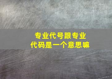 专业代号跟专业代码是一个意思嘛