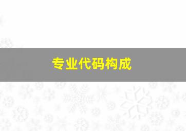 专业代码构成