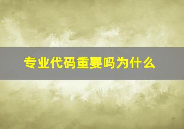 专业代码重要吗为什么