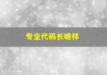 专业代码长啥样