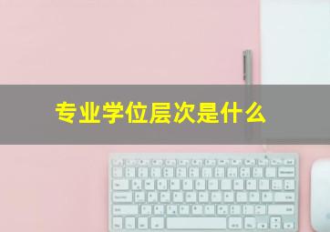 专业学位层次是什么