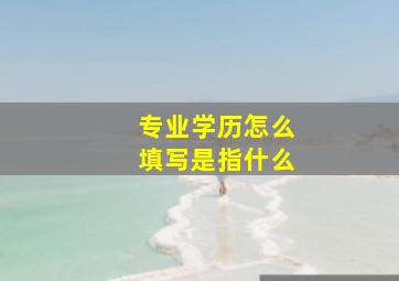 专业学历怎么填写是指什么