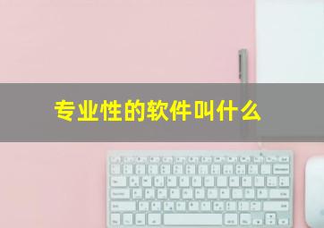 专业性的软件叫什么