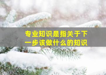 专业知识是指关于下一步该做什么的知识