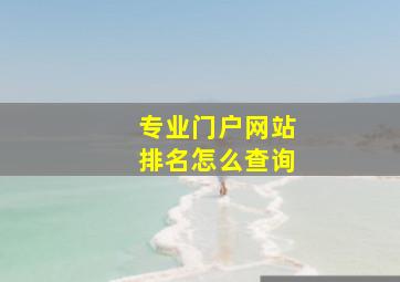 专业门户网站排名怎么查询