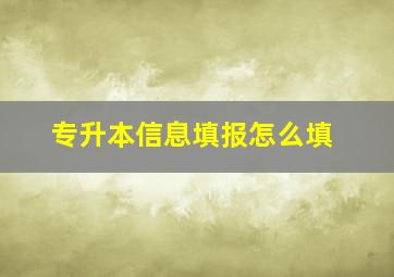 专升本信息填报怎么填