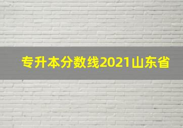 专升本分数线2021山东省