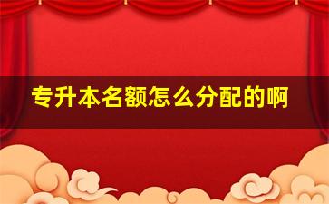 专升本名额怎么分配的啊