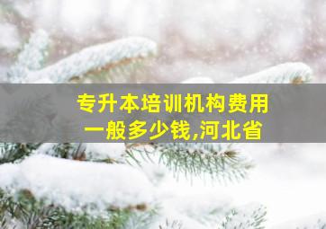 专升本培训机构费用一般多少钱,河北省