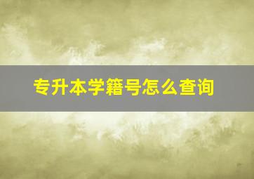 专升本学籍号怎么查询