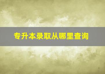 专升本录取从哪里查询