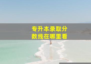 专升本录取分数线在哪里看