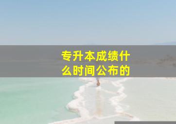 专升本成绩什么时间公布的