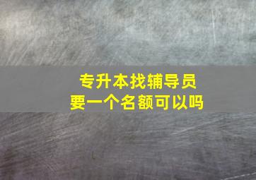 专升本找辅导员要一个名额可以吗