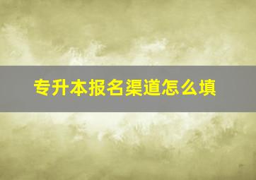 专升本报名渠道怎么填