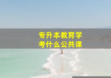 专升本教育学考什么公共课