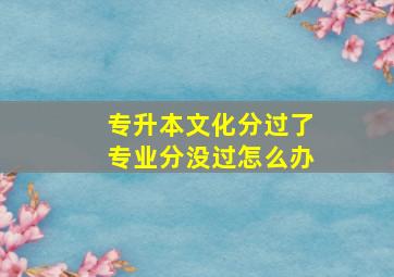 专升本文化分过了专业分没过怎么办